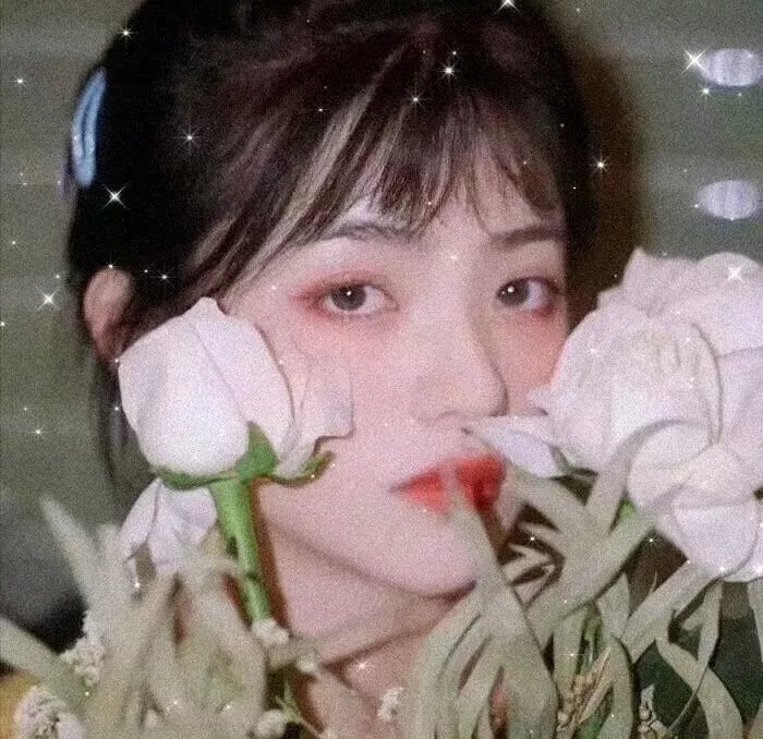 我的纯洁土地